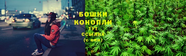 ПСИЛОЦИБИНОВЫЕ ГРИБЫ Калининец