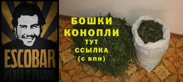 МДПВ Новосибирск