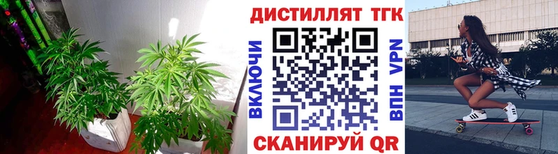 ТГК концентрат  сколько стоит  Муром 