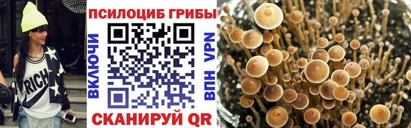 цена наркотик  Муром  Псилоцибиновые грибы GOLDEN TEACHER 