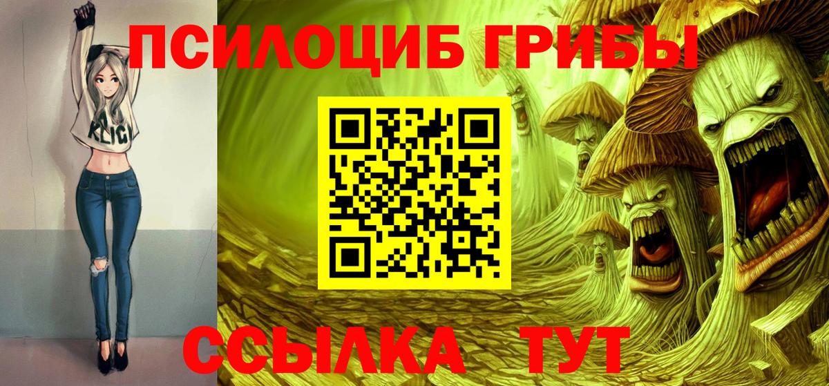 Псилоцибиновые грибы мицелий Муром