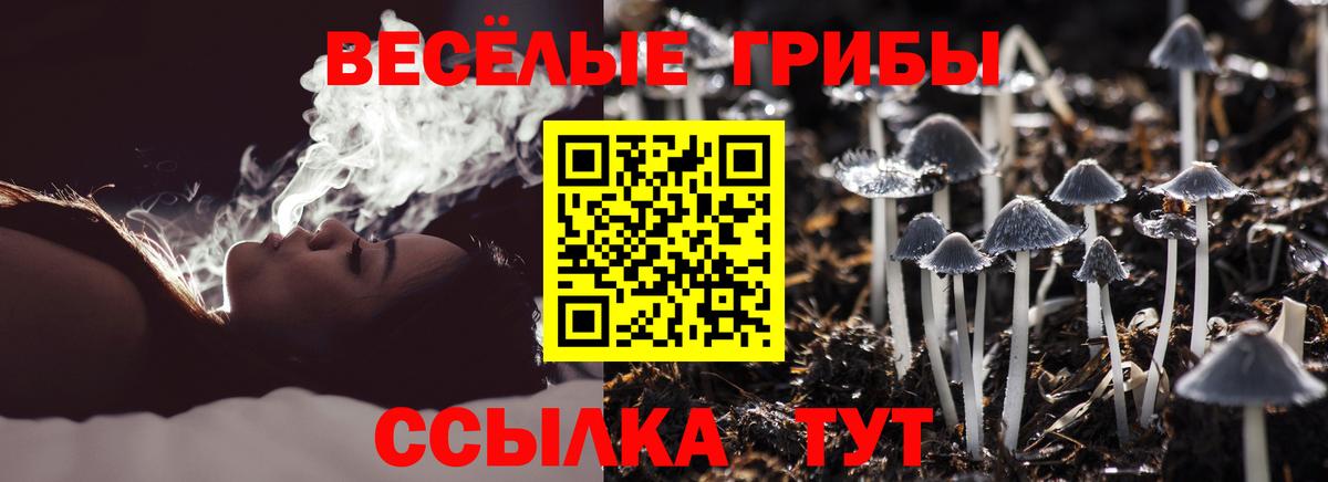Муром  Галлюциногенные грибы мухоморы  Галлюциногенные грибы мухоморы  Вход с VPN 